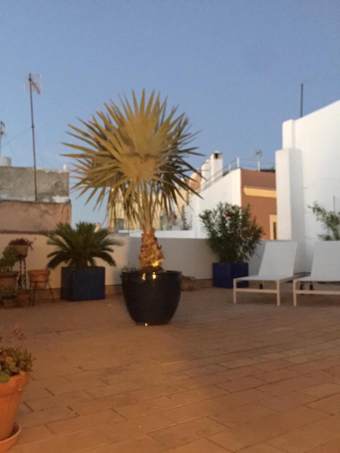 La Terraza De San Pedro Daire Cadiz Dış mekan fotoğraf